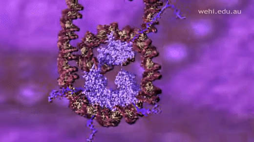 Adding the third dimension to protein modifications analysis