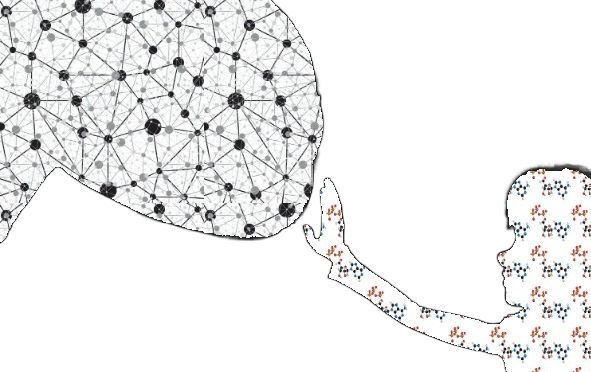 How to train your modified peptide MS/MS spectrum predictor?