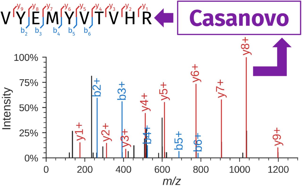 Casanovo, a transformer model to identify De novo mass spectrometry peptide sequencing