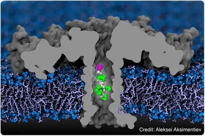 Nanopore profiling: a scalable approach to protein identification