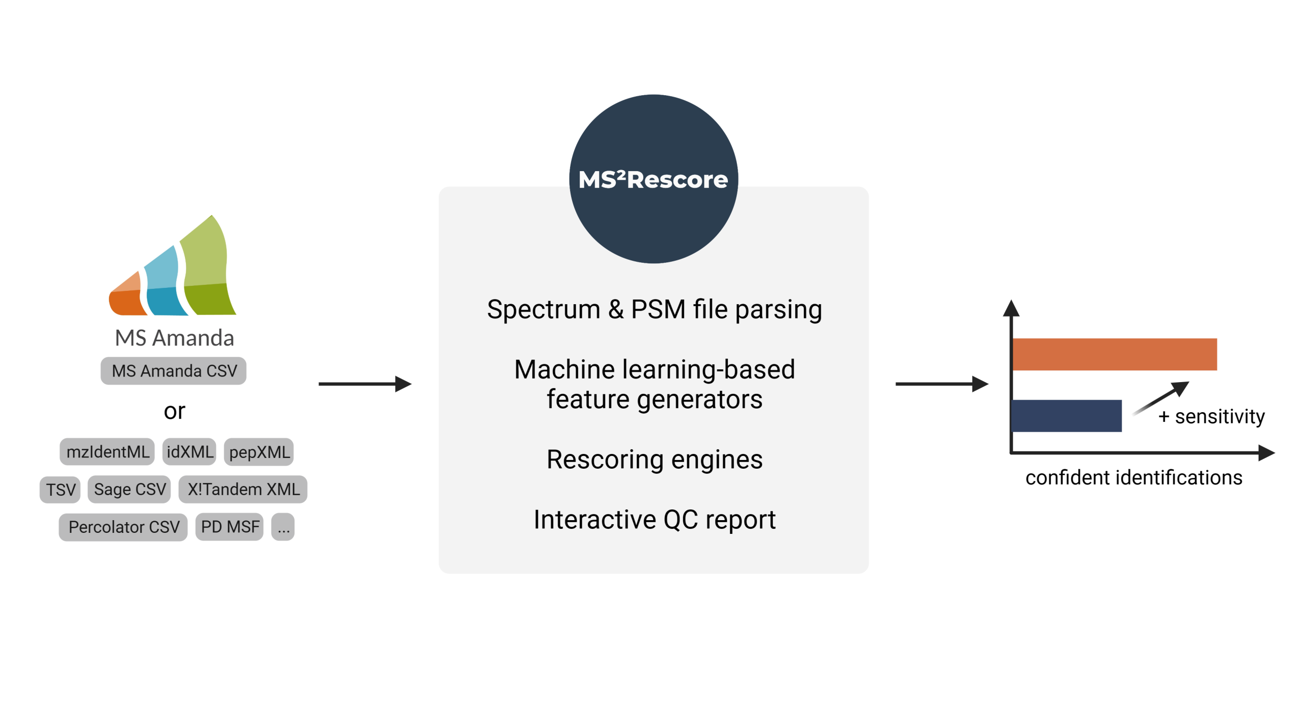 Cross-Border Collaboration: Enhancing Peptide Identification with MS2Rescore and MS Amanda